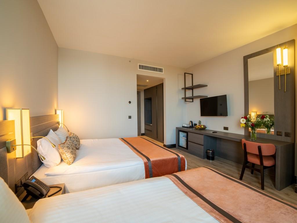 Deluxe Triple Room image